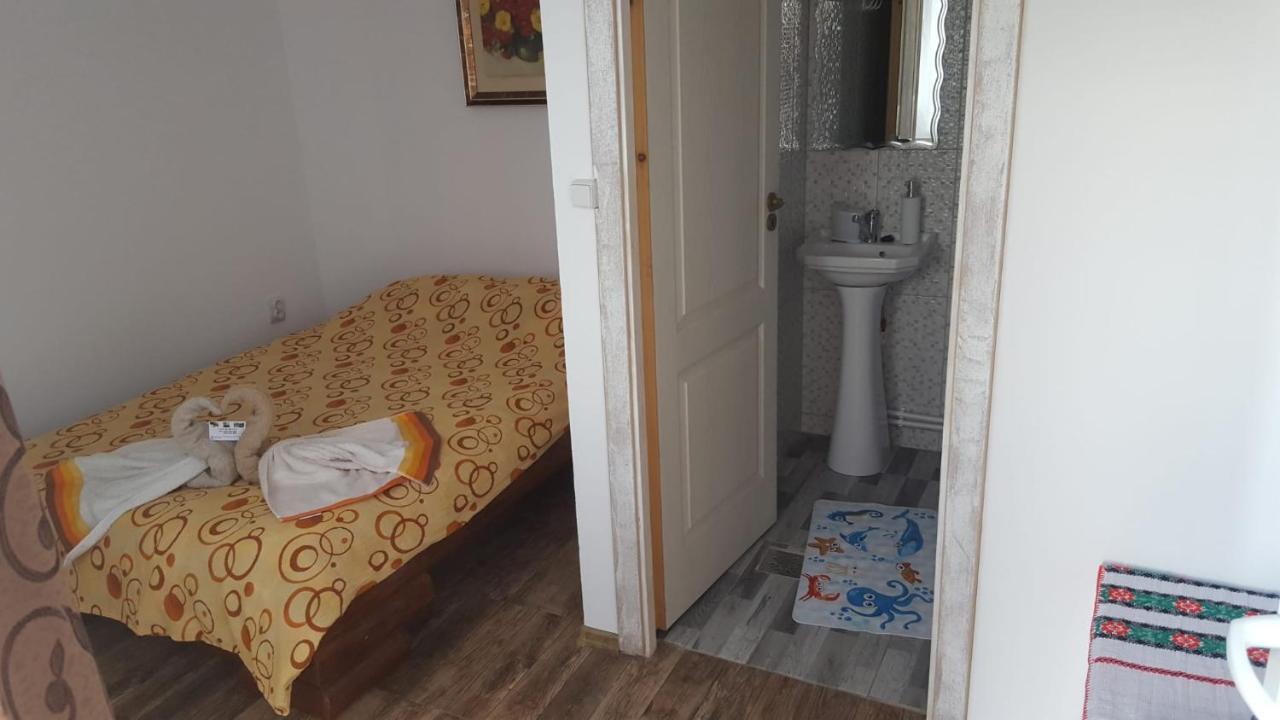 Hotel Casa Rariana Călimăneşti Exterior foto